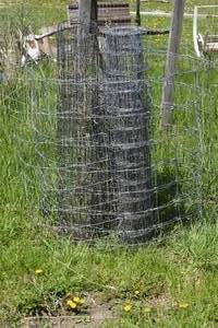 lot 36 image: lot of fencing