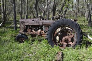 lot 82 image: Tractor in the woods