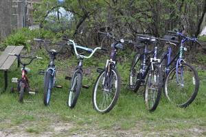 lot 91 image: lot of bicycles for all ages