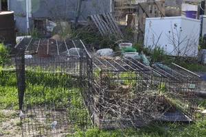 lot 92 image: 3 different sized dog kennels