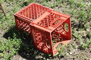 lot 282 image: Plastic Milk Crates