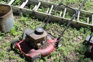 lot 287 image: Murray 20 3.5hp Push Lawn Mower