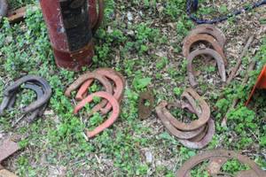 lot 503 image: Vintage Horseshoe Set with (15) Shoes, (2) Stakes