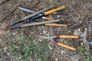 lot 510 image: Lot of (4) Pruners