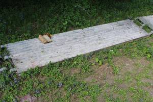 lot 197 image: Aluminum Scaffolding Platform
