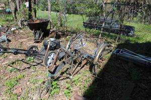 lot 205 image: Adult Tricycle