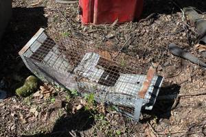 lot 209 image: Live Animal Trap