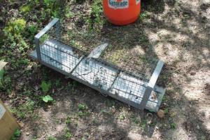 lot 225 image: Metal Wire Live Animal Trap