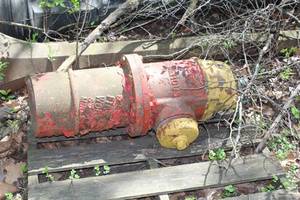 lot 232 image: Fire Hydrant