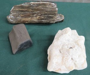 QUARTZ  PETRIFIED WOOD  SMOOTH STONE