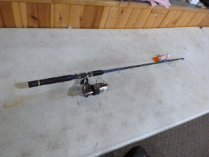 lot 306 image: South Bend Proton Series Rod and Reel
