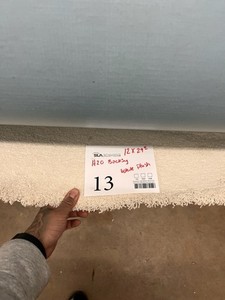 H2O Backing Plush Carpeting 29x12 White