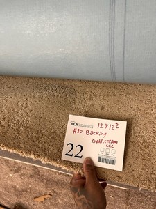 H2O Backing Plush Carpeting 123x12 Gold & Cream