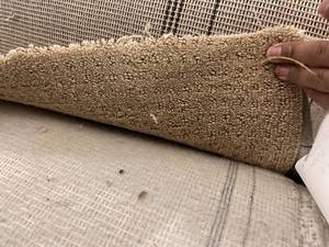 Soft Vibe Peanut Nylon Carpeting 60x12