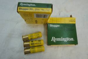 lot 255 image: ammunition 8 -20 ga slugs
