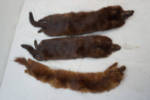 lot 111 image: 3 mink pelts