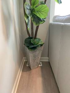 Faux 6 foot Fig Tree in Silvertone Planter