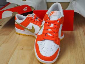 Nike Dunk Low shoes