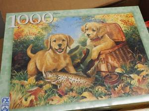 Puzzle Lot