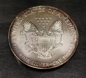 1995 AMERICAN SILVER EAGLE 1 TROY OZ .999 FINE SILVER NICELY TONED