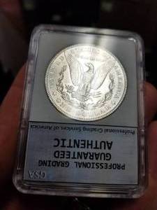 1902-O MORGAN SILVER DOLLAR MS66 PGSA SLAB