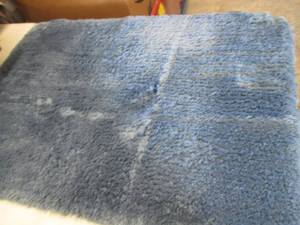36x25 inch Blue Shag Rug...