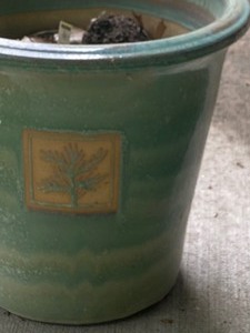 Two Beautiful Planters