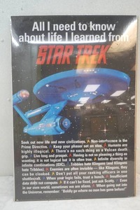 lot 138 image: Star Trek poster