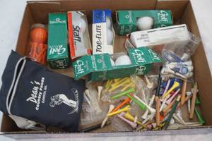 lot 245 image: golf balls and tees