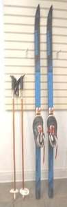lot 311 image: Landsen Tourist cross-country skis with poles