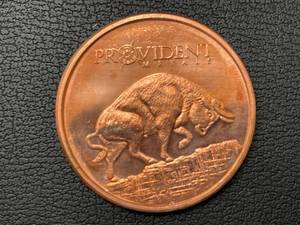 lot 8 image: 1 Ounce .999 Fine Copper Round