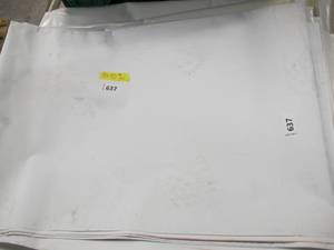 lot 637 image: NEW Vinyl Tarp - 7 x 10  White  White Vinyl Tarp - 10 oz. Lightweight Duty