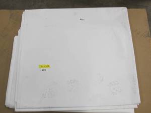 lot 639 image: NEW Vinyl Tarp - 10 x 20  White  White Vinyl Tarp - 10 oz. Lightweight Duty