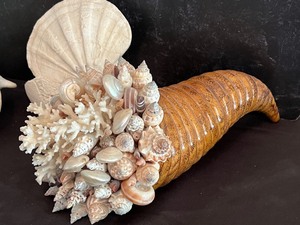 lot 83A image: Lovely Decorative Seashells