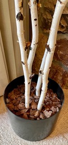 lot 60 image: Beautiful Birch Branch Decor