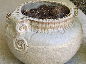 lot 222 image: Pair of Large Planters