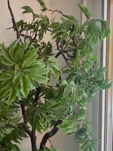 lot 229 image: Faux Vintage Plant