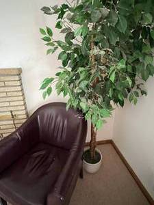 Faux Leather Chair & Tree