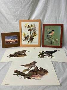 Lot of 6 Bird PicturesPrints