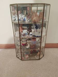Glass Display Case with Contents