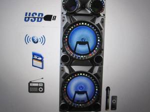 befree sound bluetooth 12 inch doub...