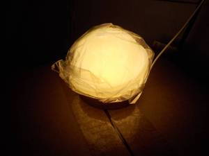 Crystal Ball Night Light...