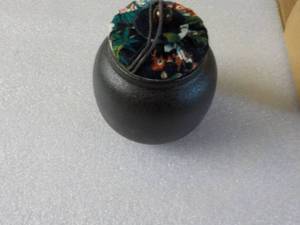 Pet Urn...
