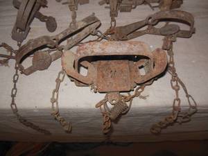 lot 109 image: 7 Small Game Traps