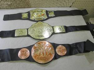 (F-0) 3 WWE Championship Belts ...