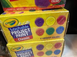 Crayola Washable Project Paint
