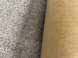 162 SF Carpet Rem SP301 Steel - 12x13.5