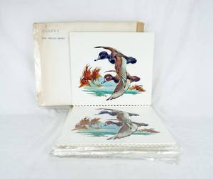 lot 44 image: Lot of 25 Vintage Fred Sweney Ring Neck Ducks Formcraft Vacuum Form Prints