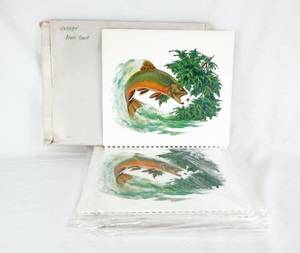 lot 45 image: Lot of 22 Vintage Fred Sweney Brook Trout Formcraft Vacuum Form Prints