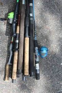 Lot of (17) Assorted Fishing Rods